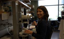 Investigadoras UV crean ecoconsorcios microbianos para recuperar suelos agrícolas