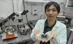 Investigador de la UV impulsa colaboración con la Universidad de Tokio para estudiar los mecanismos cerebrales del estrés y la resiliencia