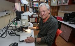 ¿Más sueño en invierno? La respuesta está en cómo la luz regula el reloj biológico de nuestro cerebro