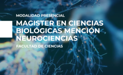 Impulsa tu futuro en neurociencias